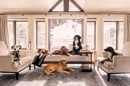 Product image for Fireside Pups, Aspen