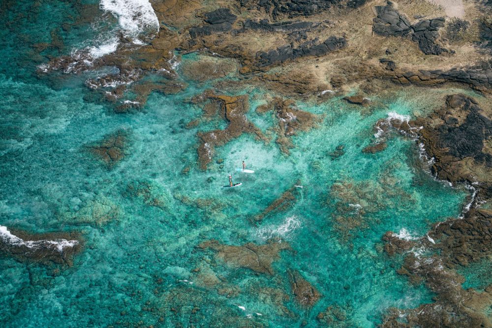 Photography by Gray Malin of Hawai'i Paddle Boarders