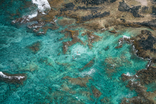 Hawai'i Paddle Boarders