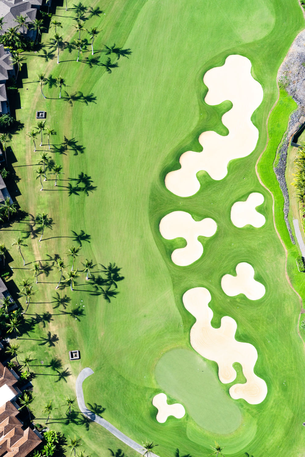 Hole 18 Vertical, Four Seasons Hualalai Golf Course, Hawai’i