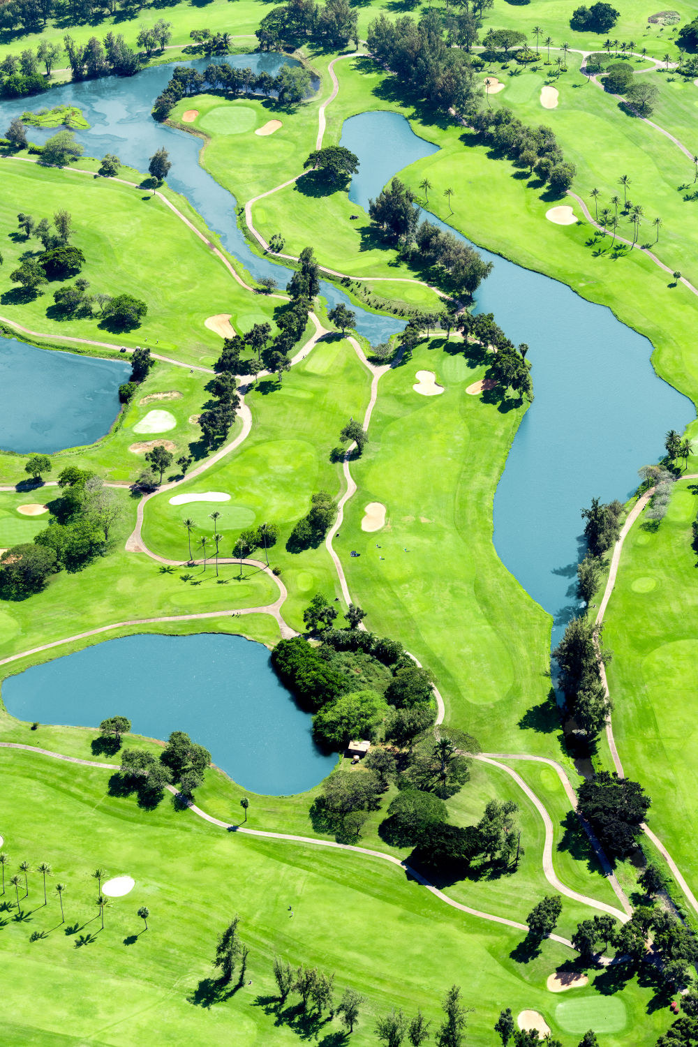 Honolulu Country Club Vertical, Oahu