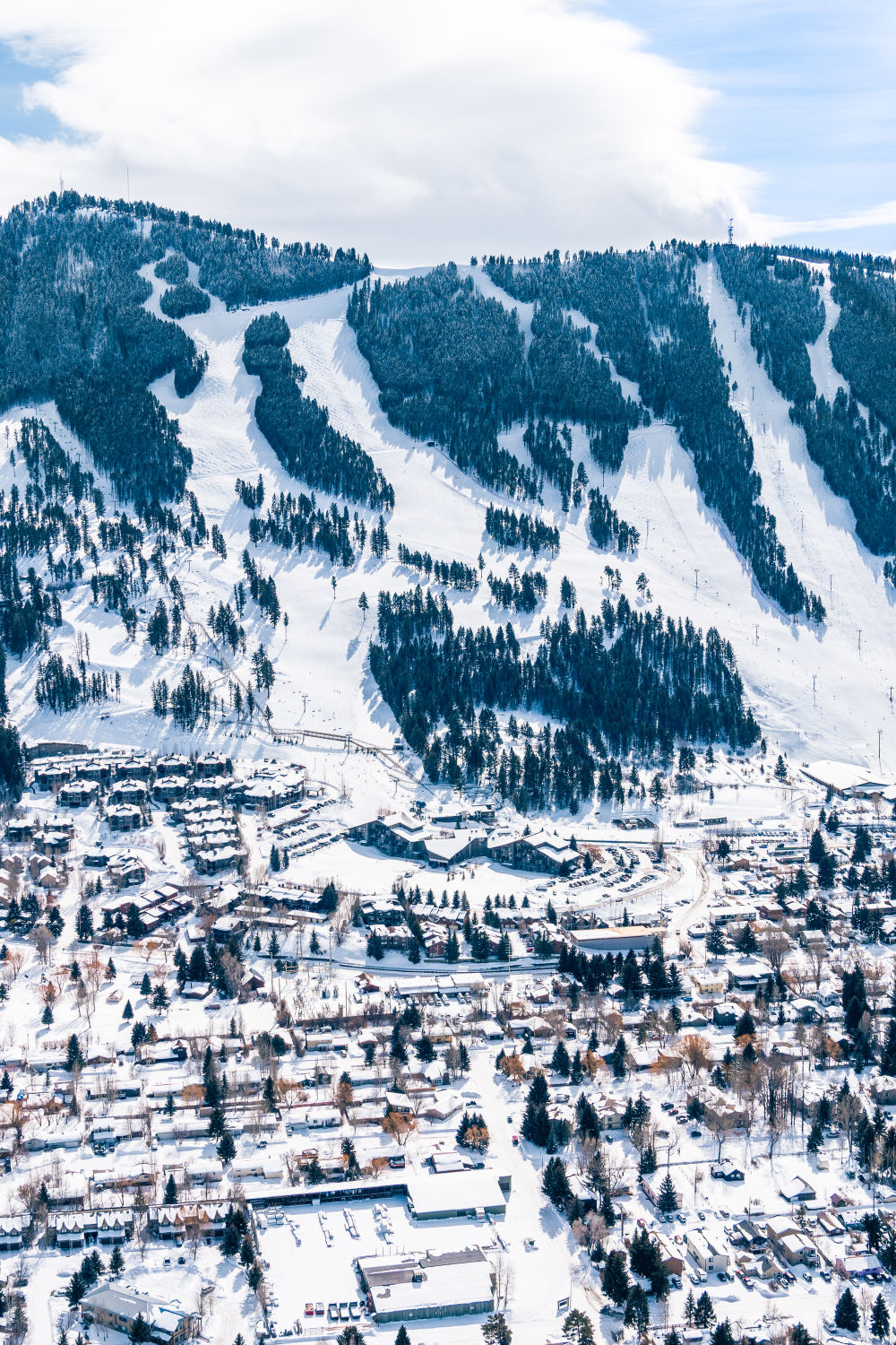 Jackson Hole Triptych