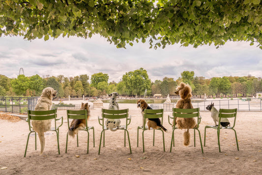 Product image for Jardin de Tuileries, Paris