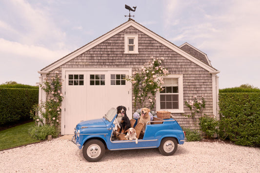 Product image for Joy Ride, Nantucket