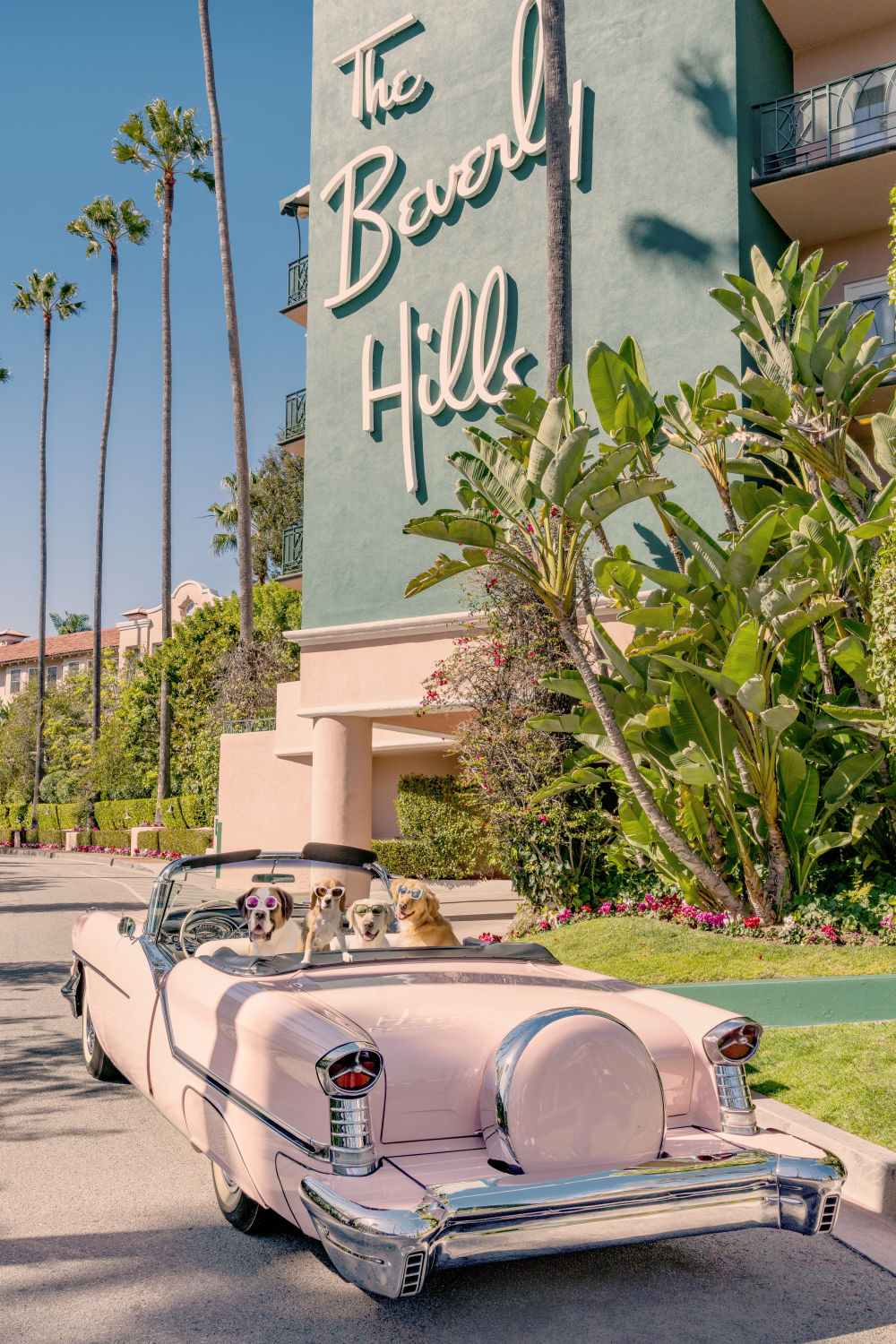 Joy Ride, The Beverly Hills Hotel