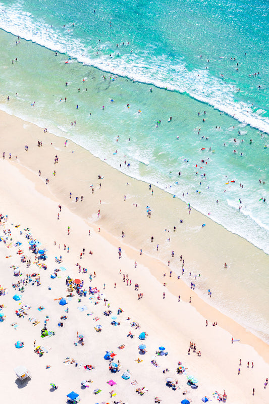 Product image for La Jolla Shores Vertical