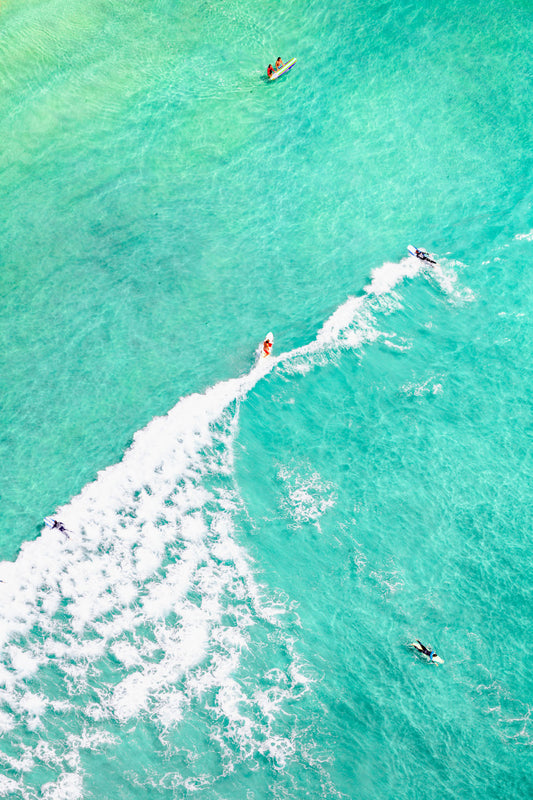 Product image for La Jolla Surfers