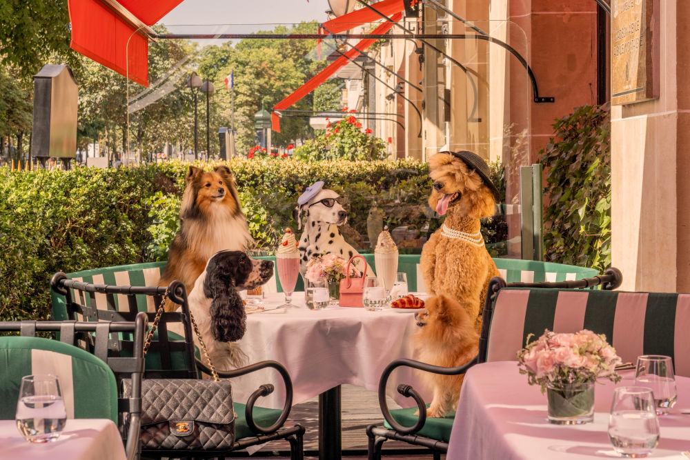 La Terrasse Montaigne, Hôtel Plaza Athénée