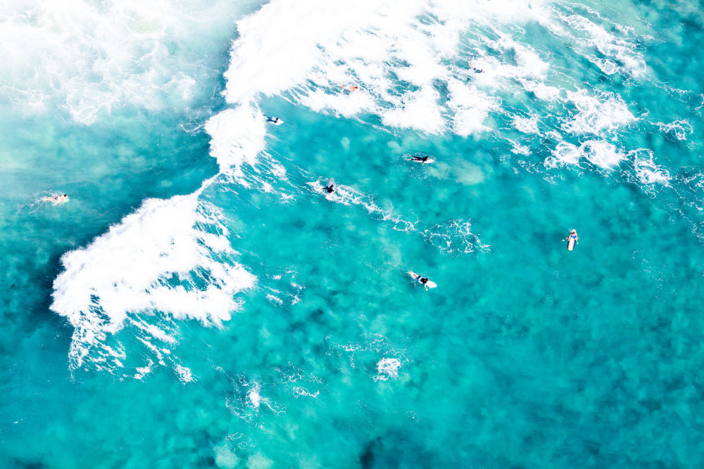 Laguna Beach Surfers