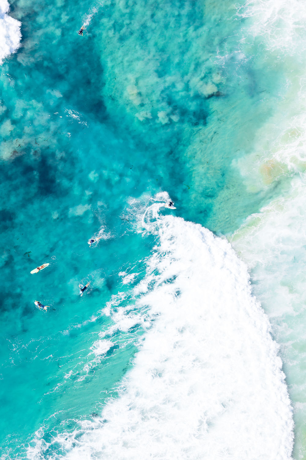 Laguna Beach Surfers, Vertical