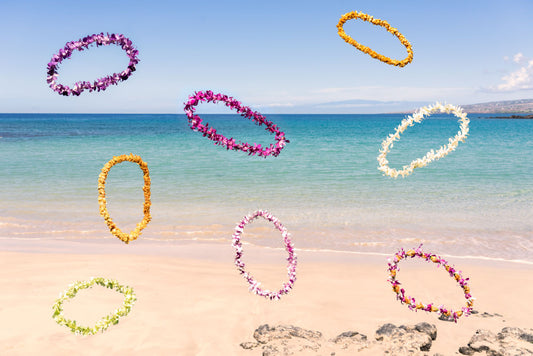 Leis on the Beach, Mauna Kea