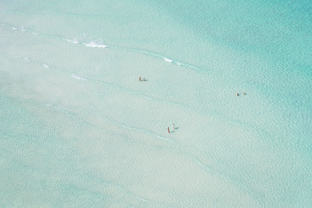 Lido Key Swimmers, Sarasota, Florida