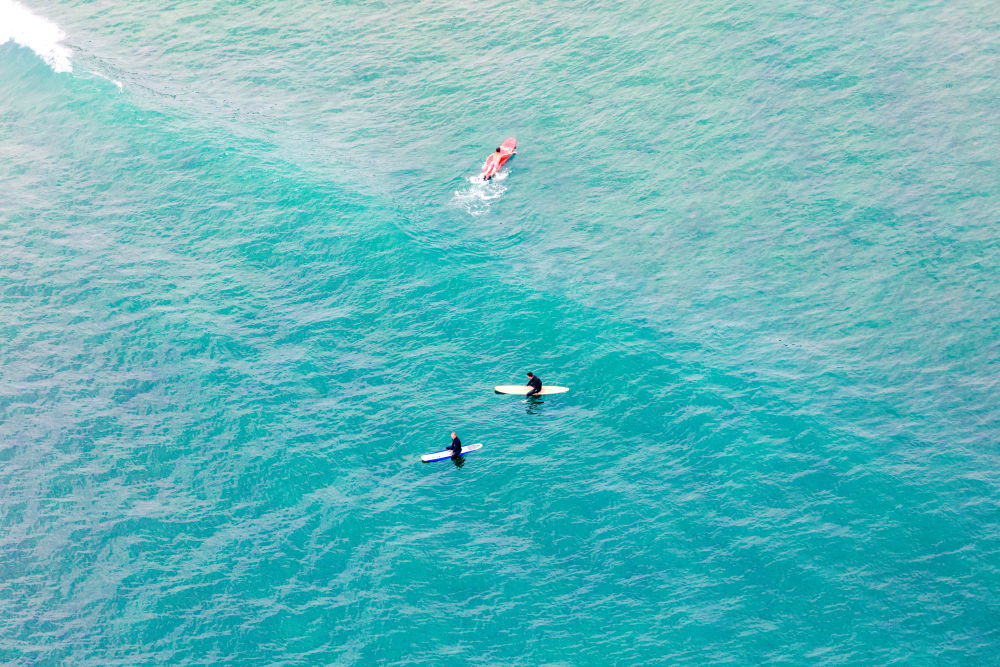 Malibu Surfers