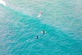 Malibu Surfers