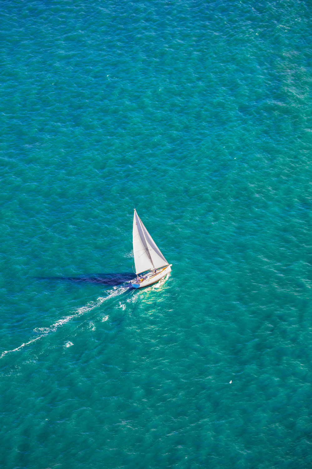 Marina Sailboat, San Francisco