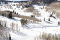McCoy Park, Beaver Creek