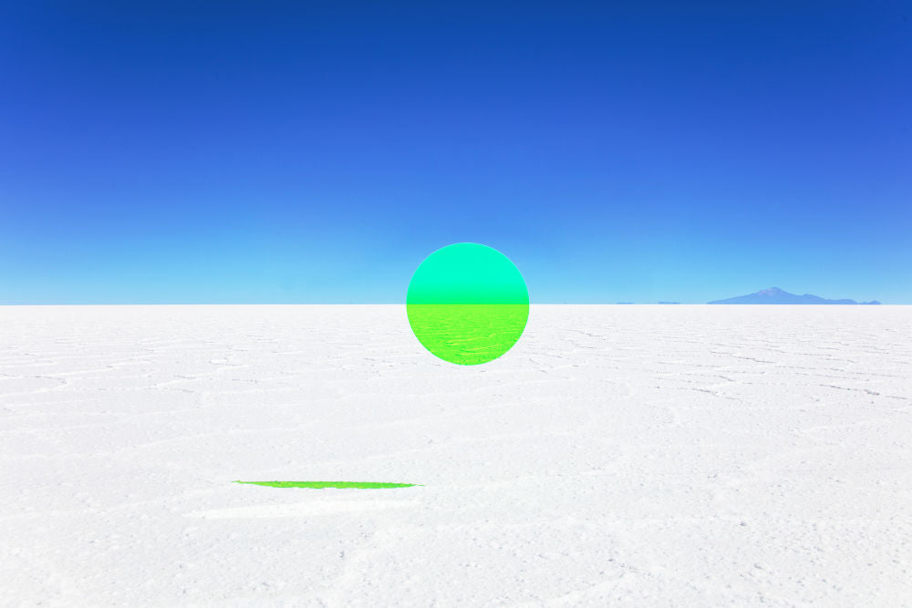 Photography by Gray Malin of Neon Green Circle