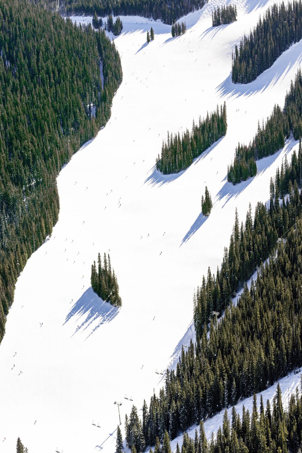 Northwoods Slopes Vertical, Vail