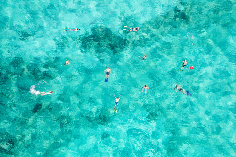 Ocean Snorkelers, Bahamas