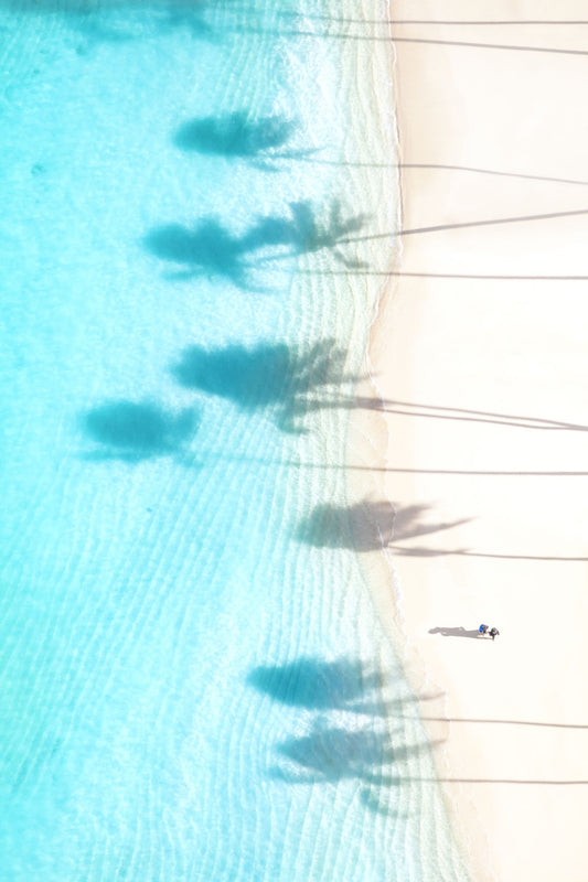 Product image for Palm Shadows Vertical, Oahu