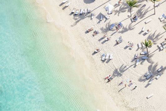 Palm Tree Shadows Horizontal, Bahamas