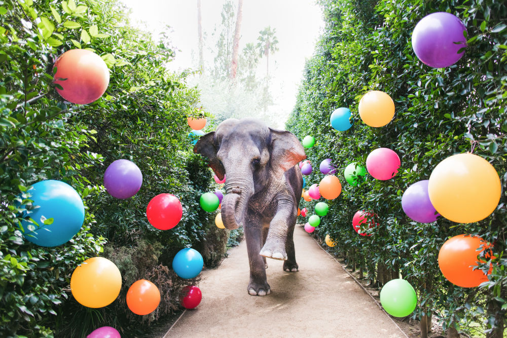 Party at the Parker – Gray Malin