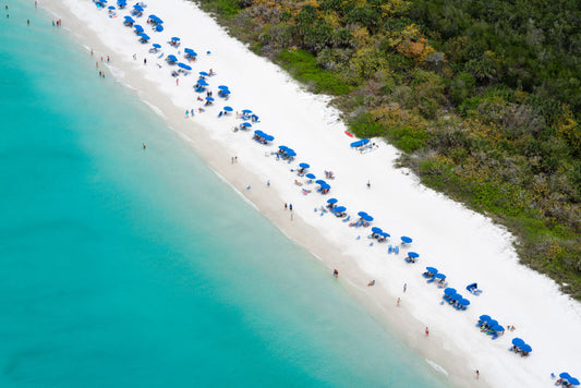 Pelican Bay Mangroves, Naples, Florida