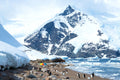 Penguin Beach, Antarctica