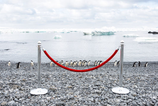 Product image for Penguin Stanchion, Antarctica