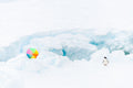 Penguin and Beach Ball II, Antarctica