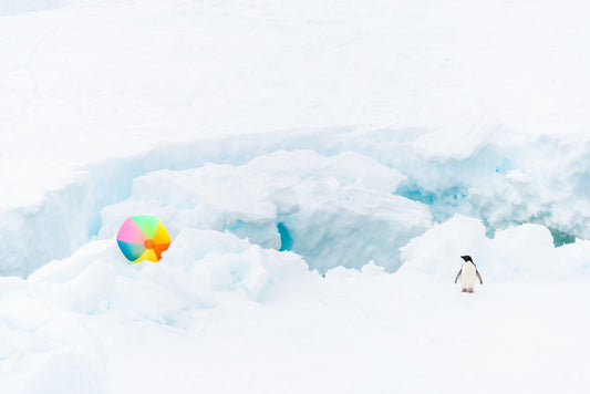 Penguin and Beach Ball II, Antarctica