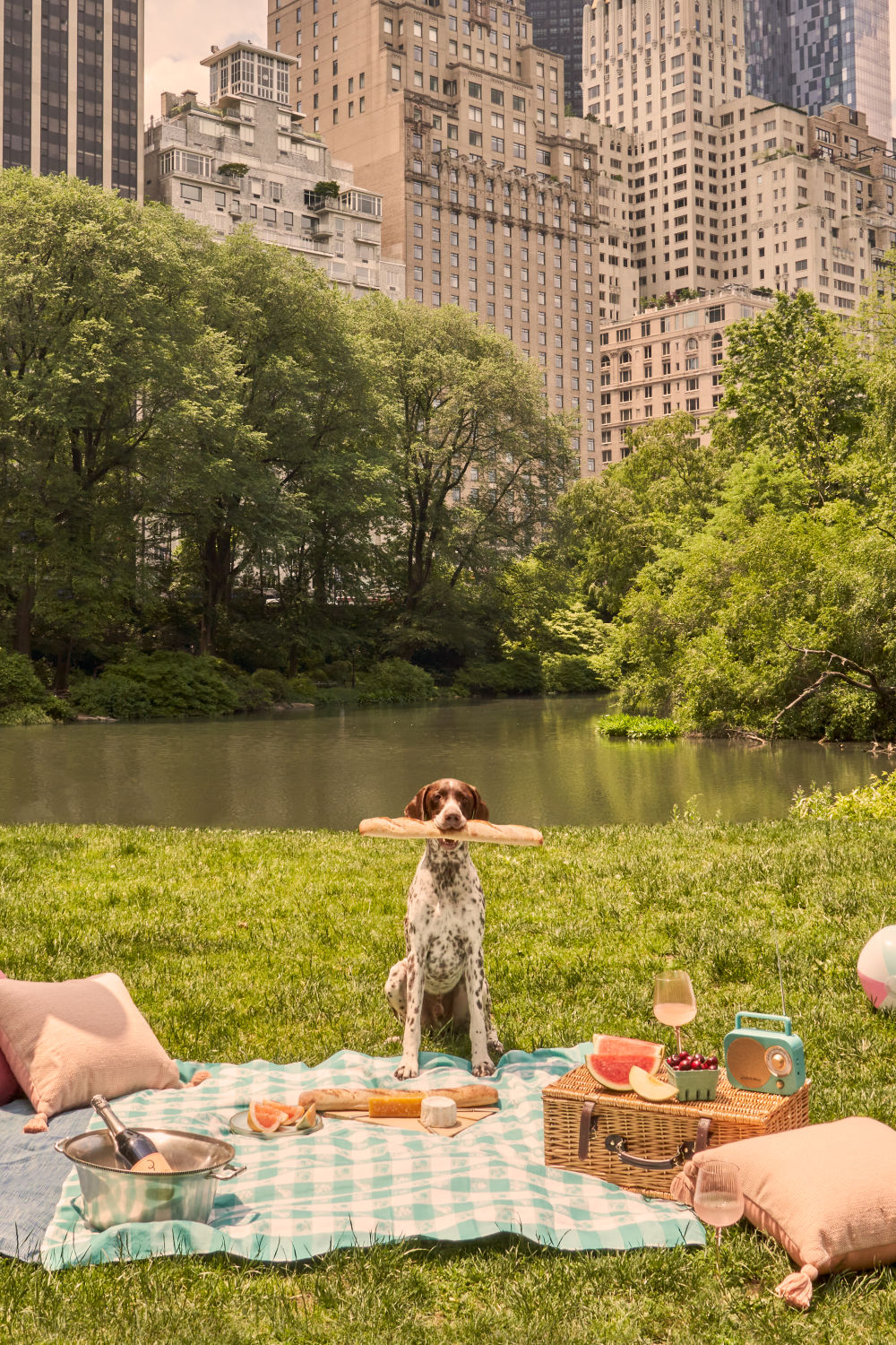 Picnic Pup, Central Park