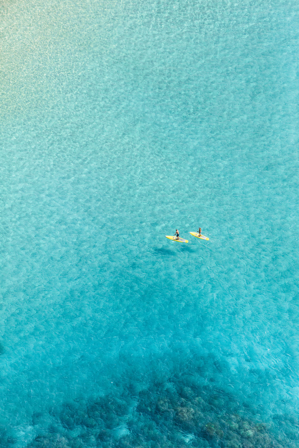 Photography by Gray Malin of Pine Trees Surfing Beach