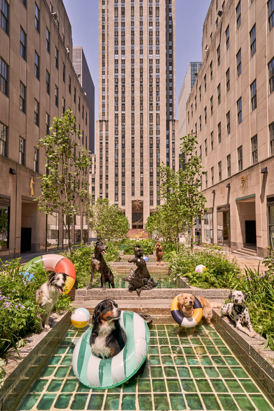 Pool Day, Rockefeller Center