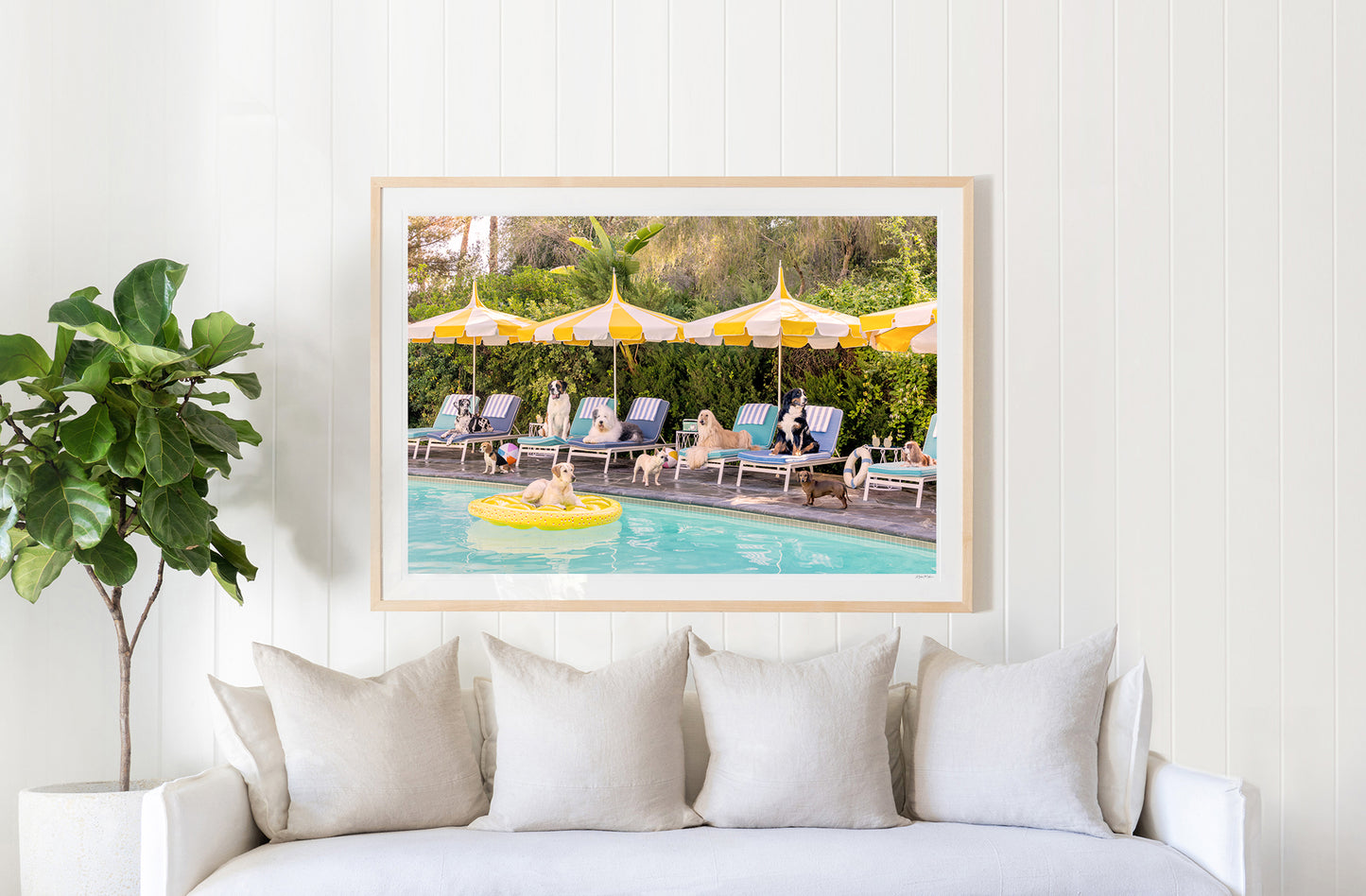 Poolside Pups, Parker Palm Springs