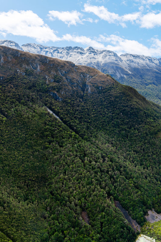 Queenstown Valley Triptych, New Zealand