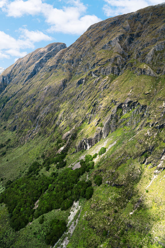 Queenstown Valley Triptych, New Zealand