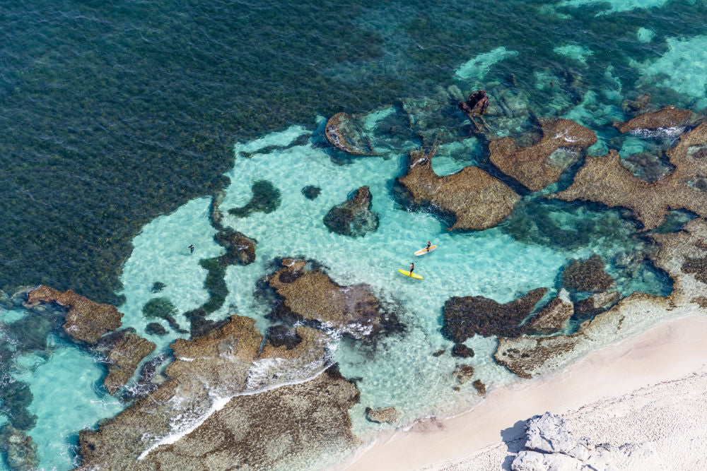 Rottnest Island Paddle Boarders, Perth