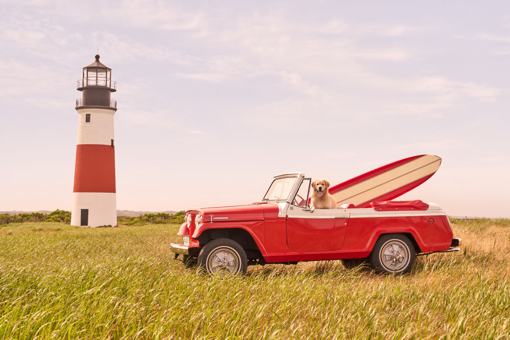 Sankaty Head Lighthouse Pup, Nantucket