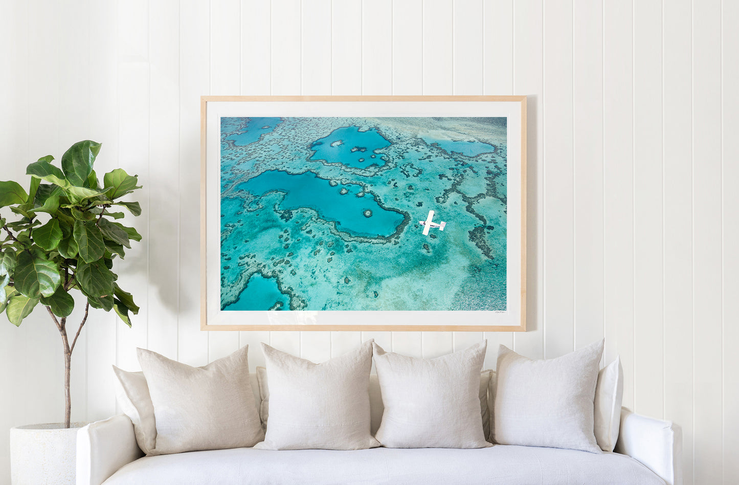 Seaplane, Great Barrier Reef