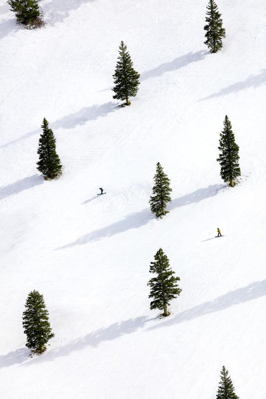 Sheer Bliss, Aspen