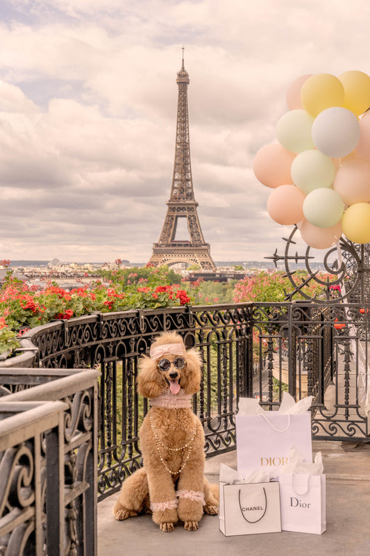 Product image for Shopping Spree, Hôtel Plaza Athénée