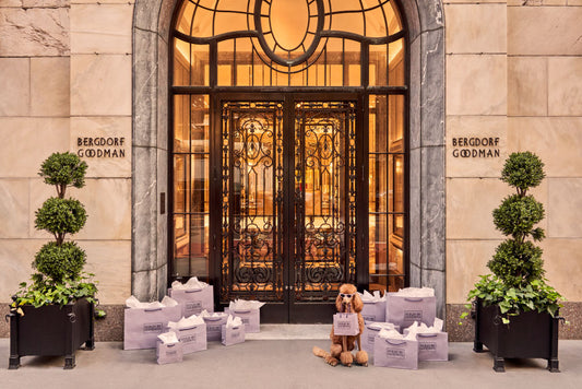 Shopping Spree, Bergdorf Goodman