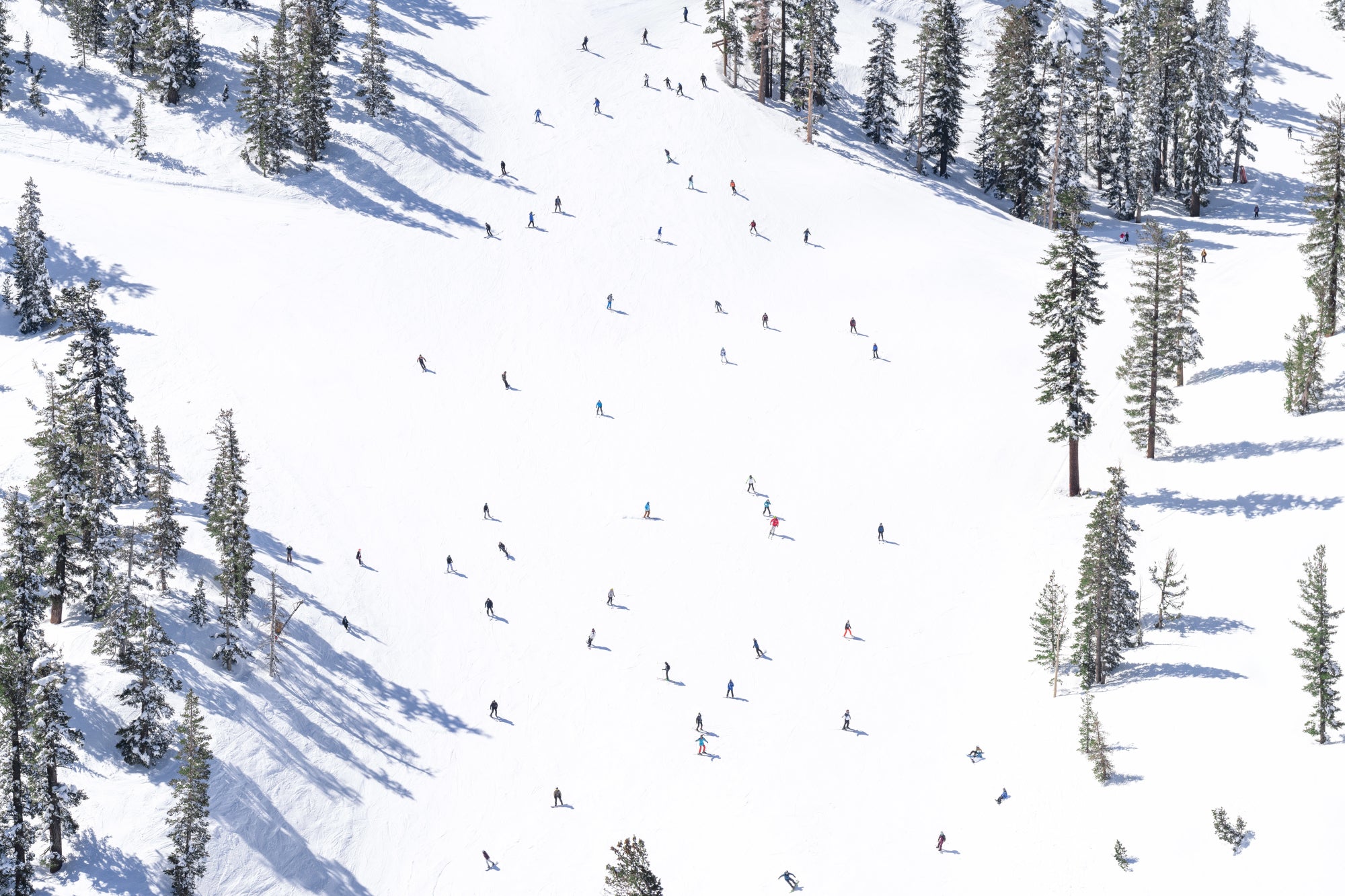 Ski Day, Lake Tahoe