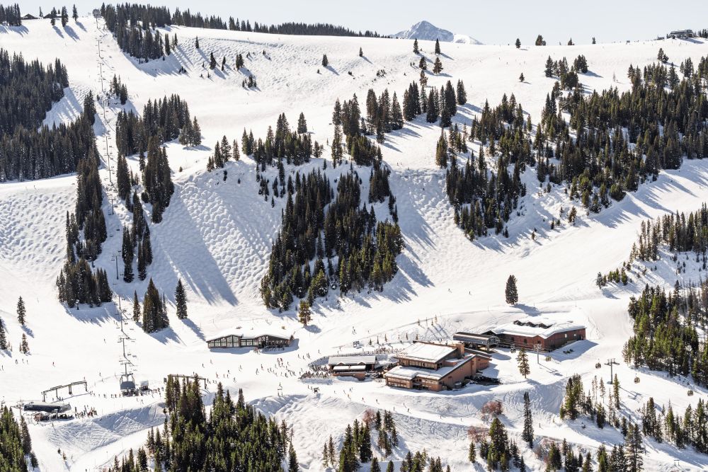 Snowy Slopes, Mid-Vail