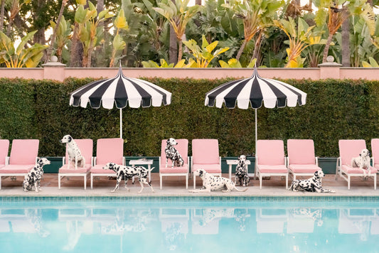 Product image for Spotted at The Beverly Hills Hotel