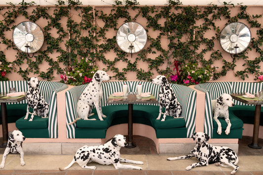 Product image for Spotted at the Cabana Cafe, The Beverly Hills Hotel