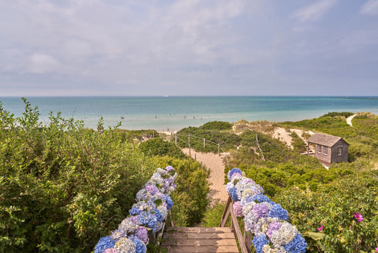 Product image for Steps Beach Vista, Nantucket