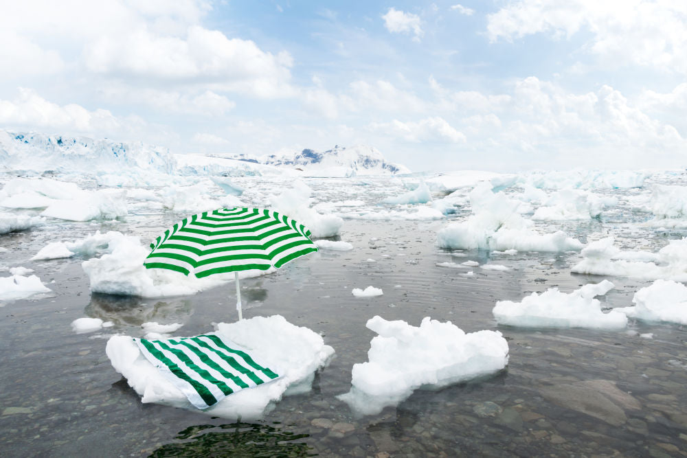 Sunbathing, Antarctica