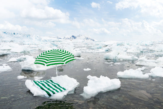 Product image for Sunbathing, Antarctica